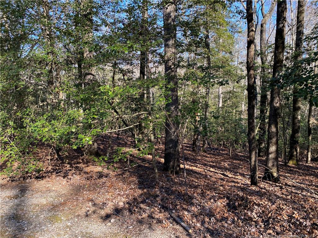 2055 Long Point Trail Property Photo 4
