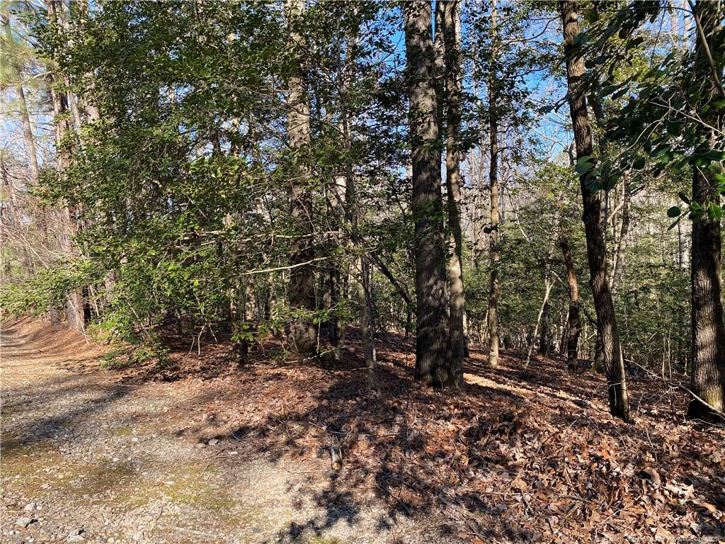 2055 Long Point Trail Property Photo 5