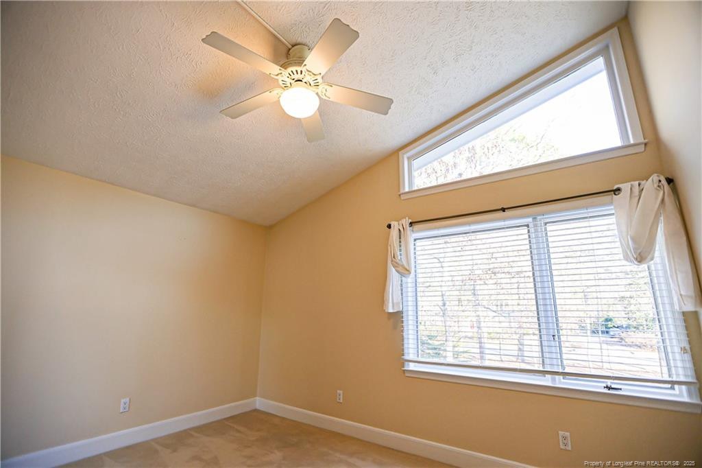 34 Trinity Drive Property Photo 41