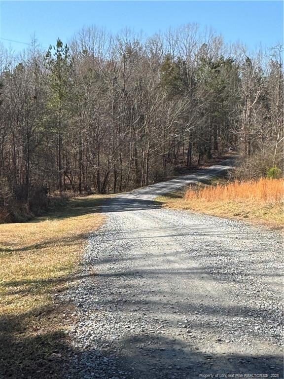 Walnut Springs Road Property Photo 4