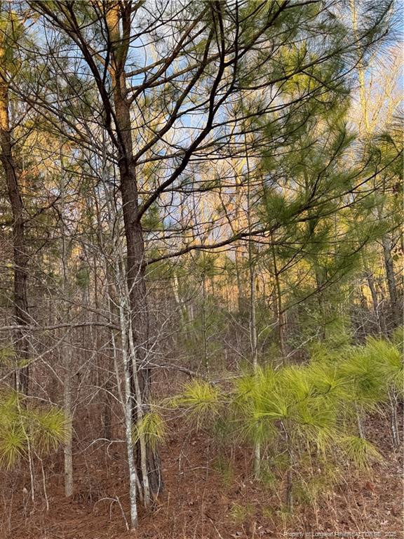 Walnut Springs Road Property Photo 5