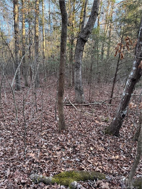 Walnut Springs Road Property Photo 6
