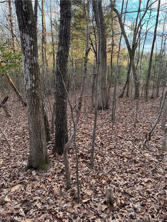 Walnut Springs Road Property Photo 7