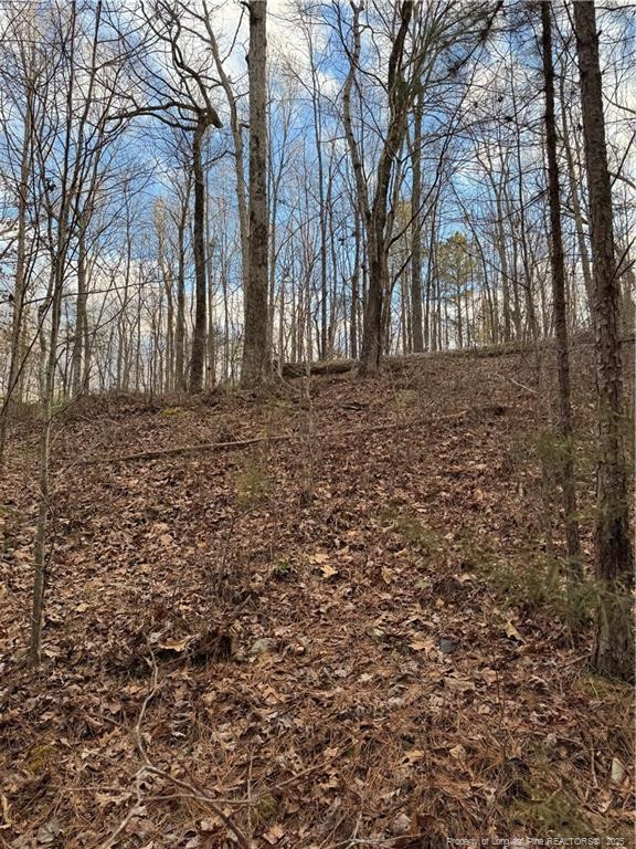 Walnut Springs Road Property Photo 9