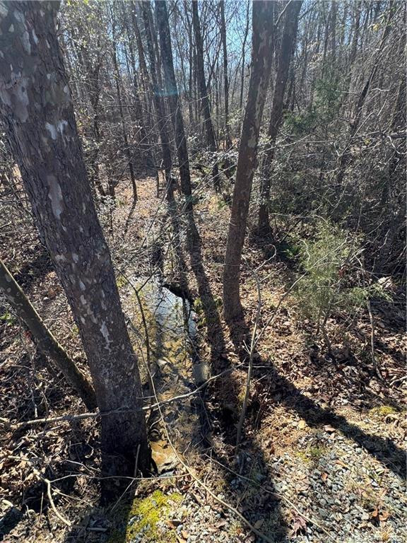 Walnut Springs Road Property Photo 10