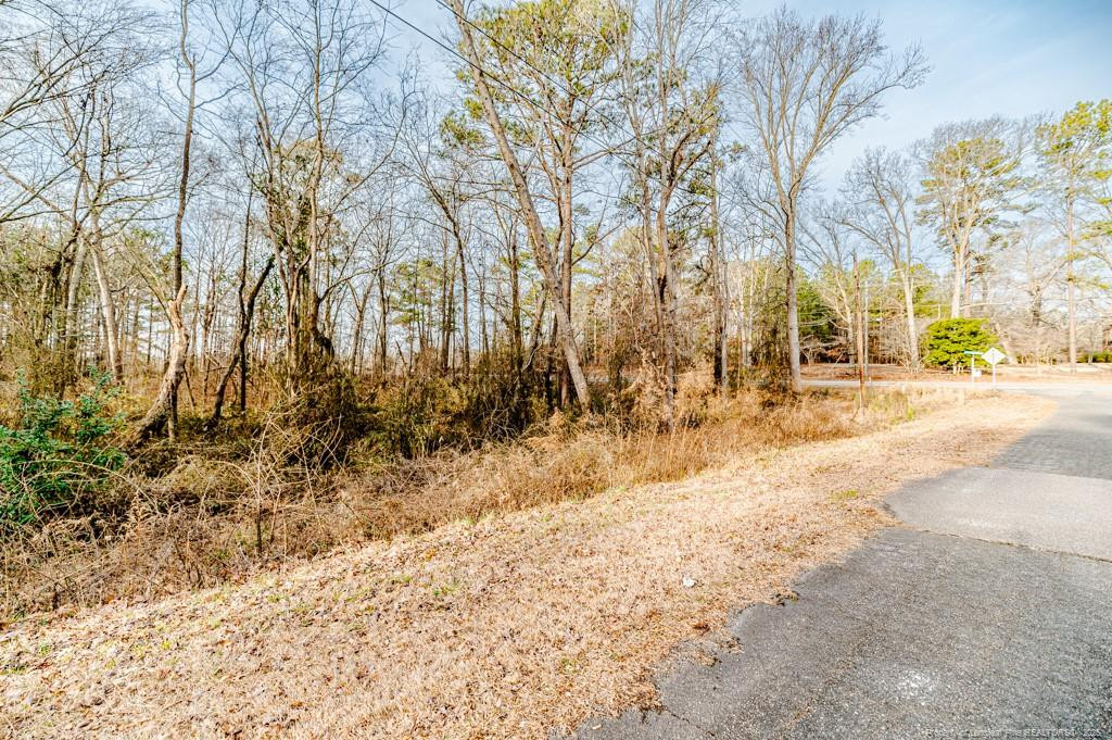 Hickory House Road Property Photo 3