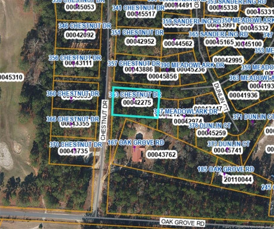 363 Chestnut Drive Property Photo 3
