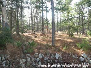 317 Lakeview Drive Property Photo 1
