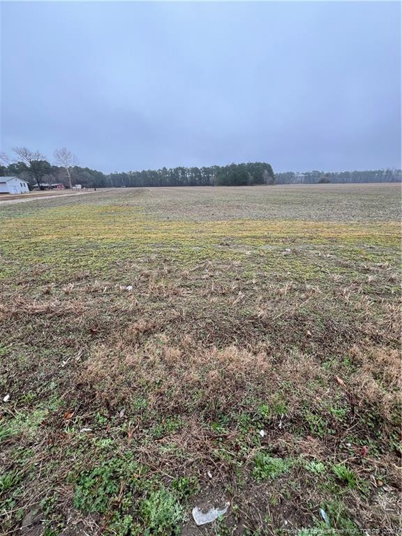 Raynham Road Property Photo