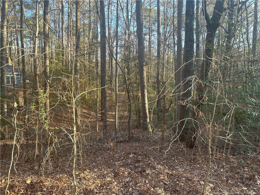 414 Back Bay Property Photo 2