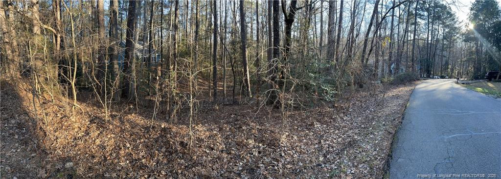 414 Back Bay Property Photo 4