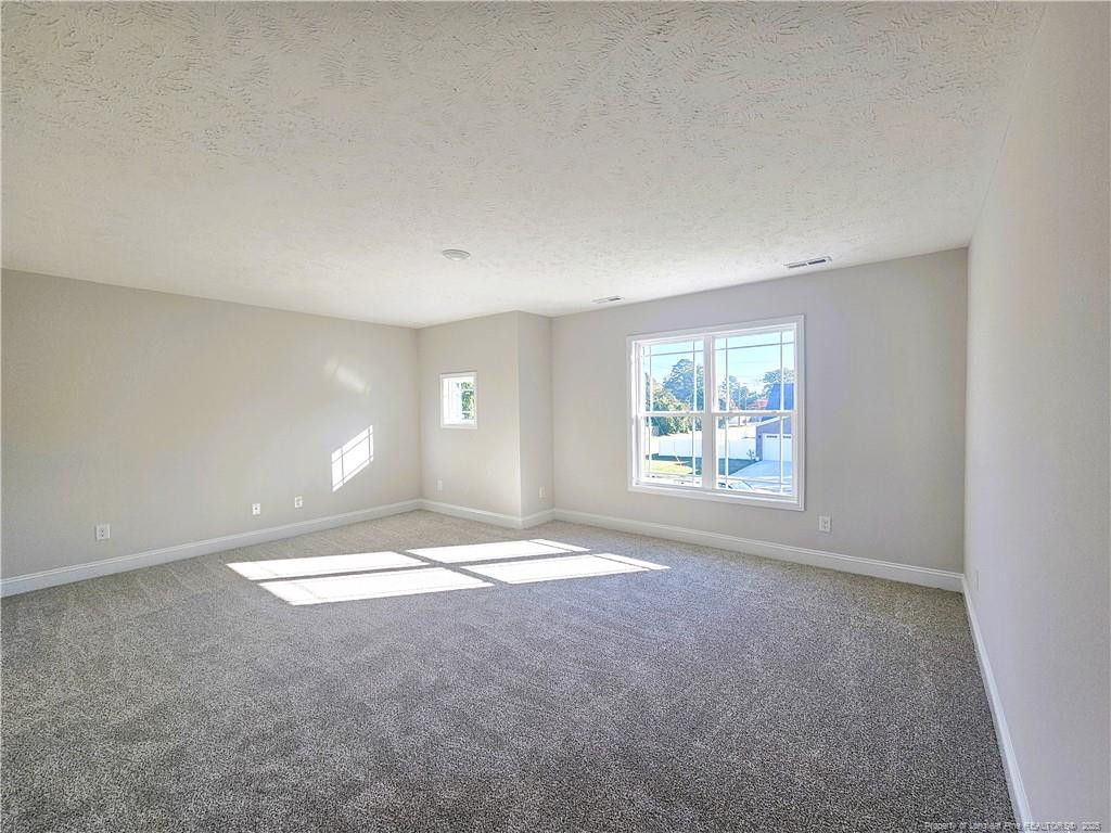 902 Emeline Avenue Property Photo 36