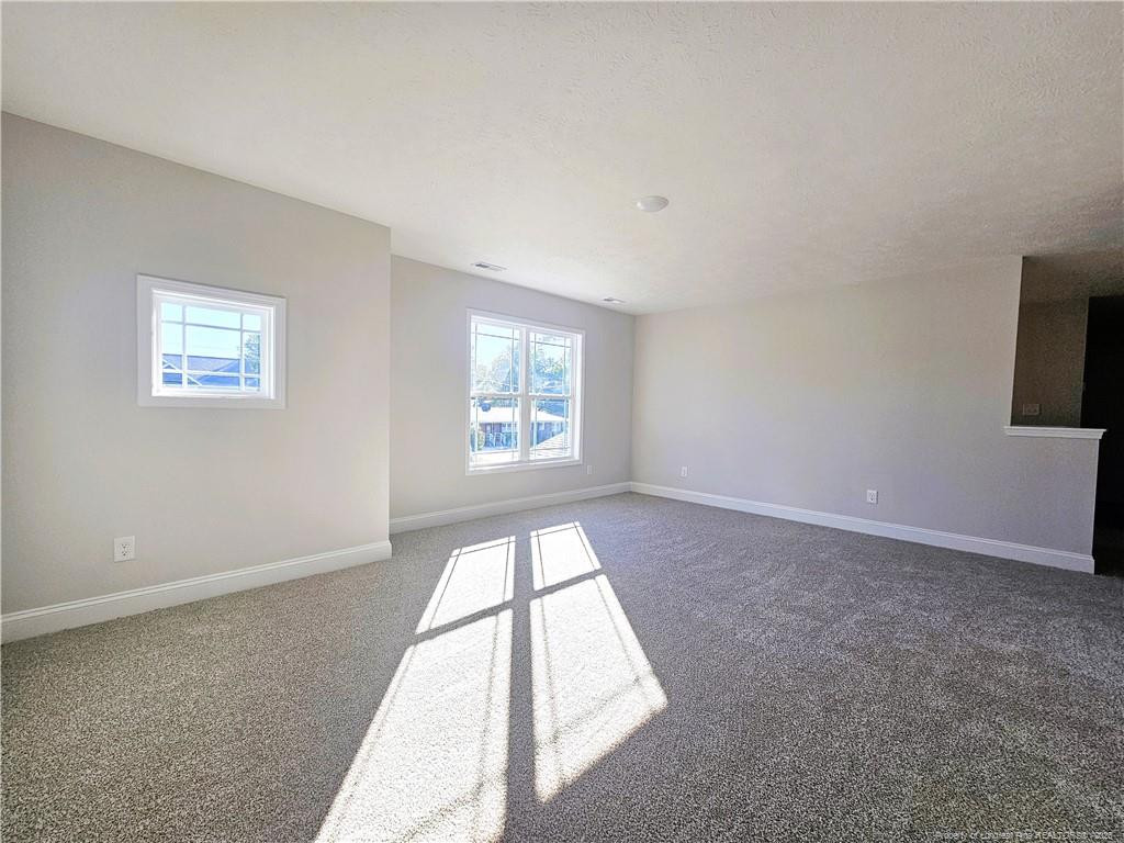 902 Emeline Avenue Property Photo 37
