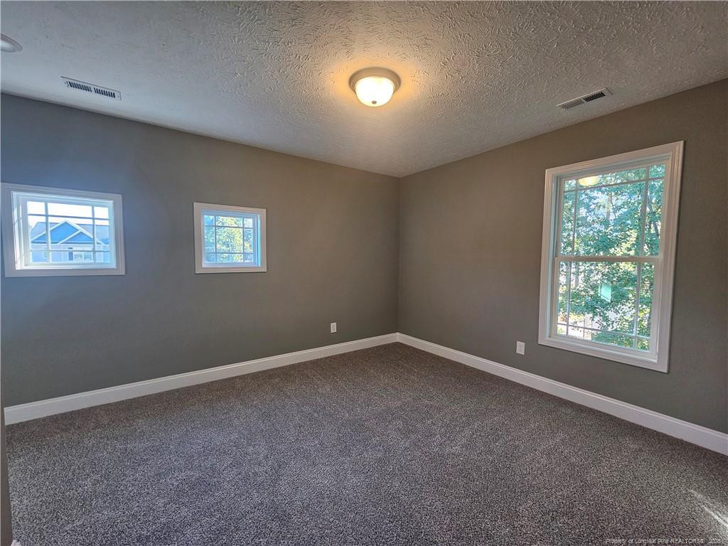 902 Emeline Avenue Property Photo 39
