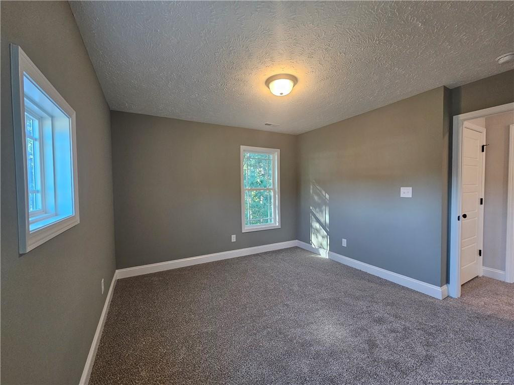 902 Emeline Avenue Property Photo 42