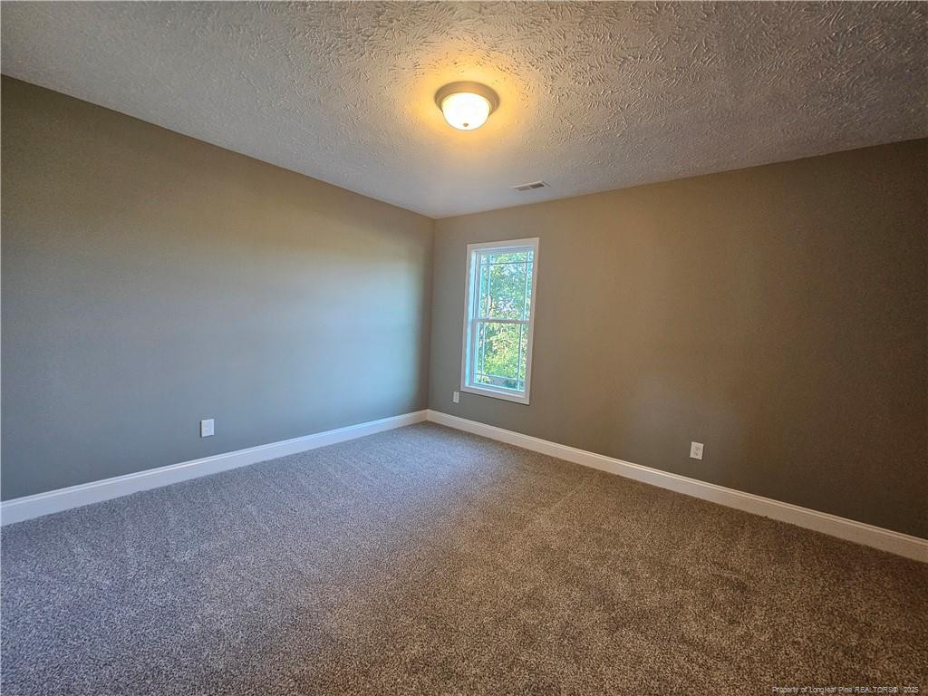 902 Emeline Avenue Property Photo 43