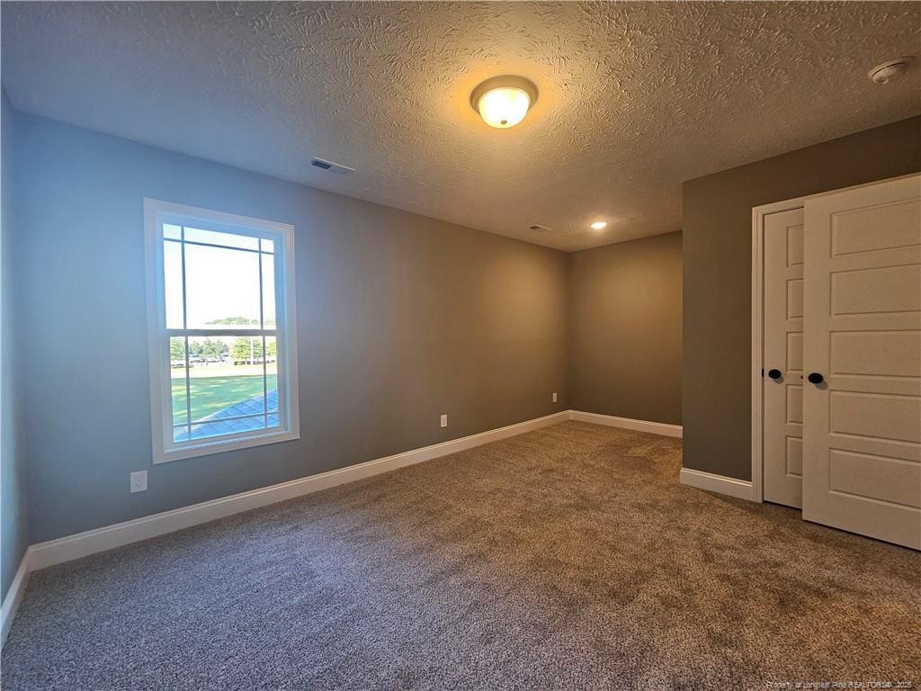 902 Emeline Avenue Property Photo 44