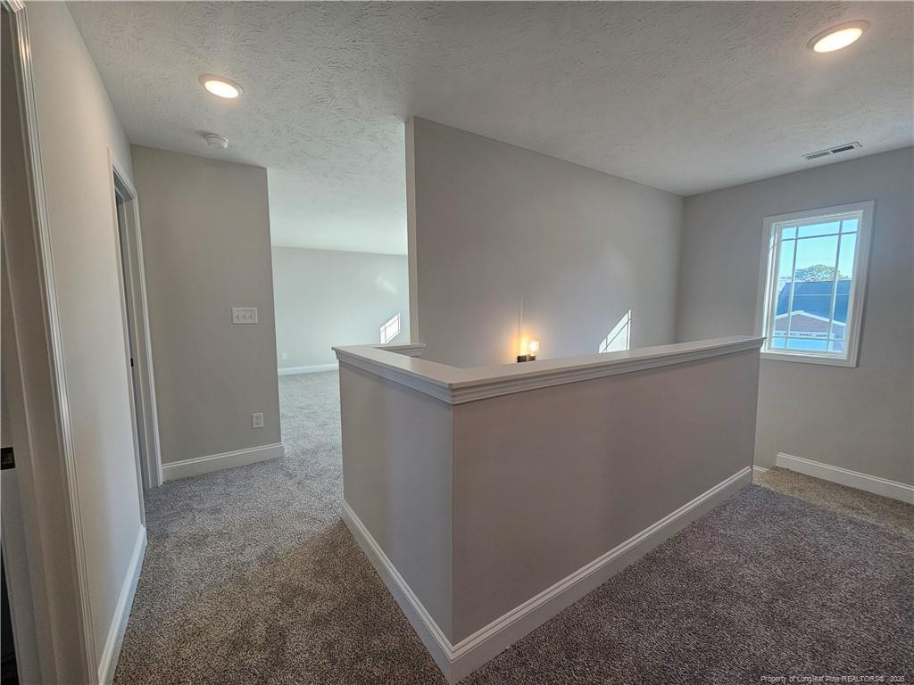 902 Emeline Avenue Property Photo 46