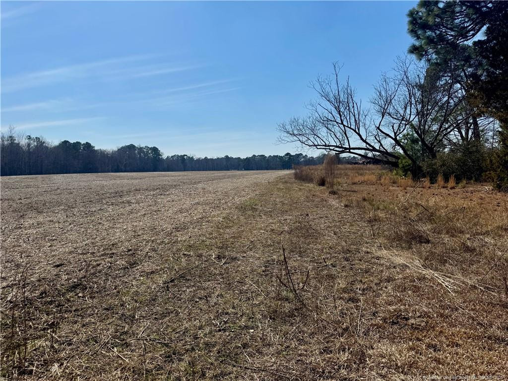13563 Us Hwy 301 Highway Property Photo