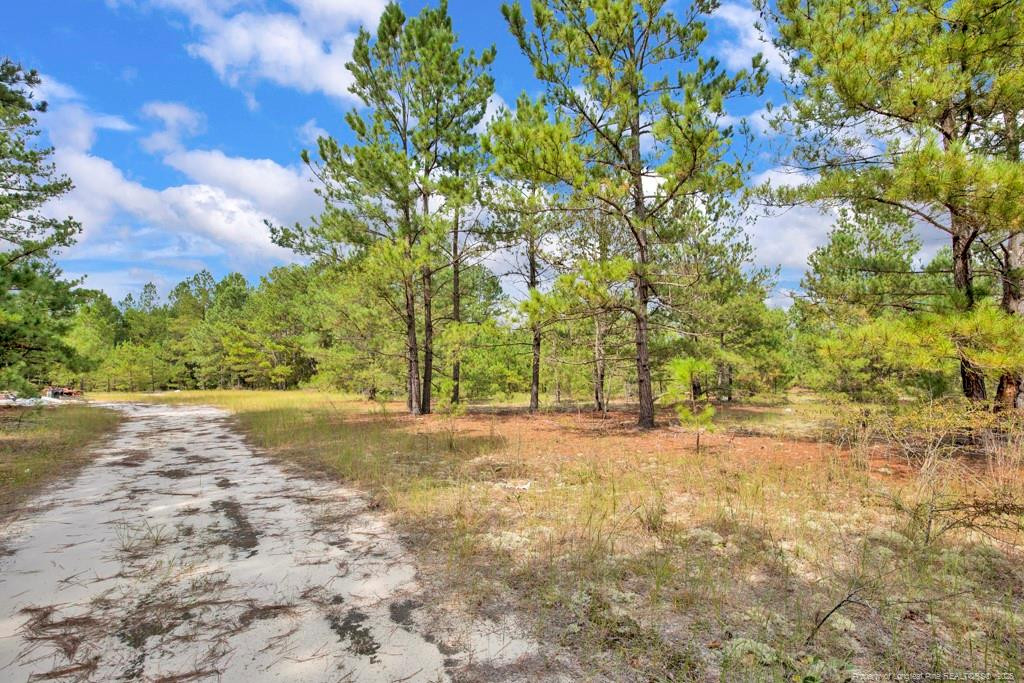 2b Mckoy Town Road Property Photo 1