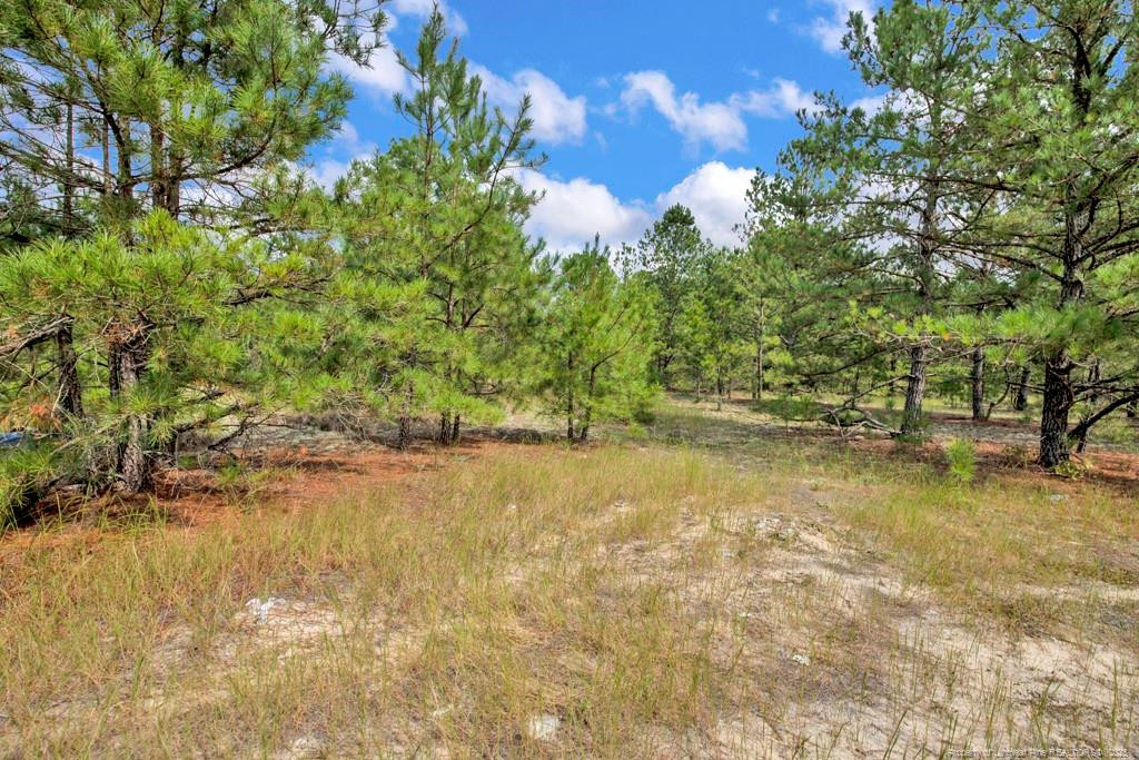 2b Mckoy Town Road Property Photo 4
