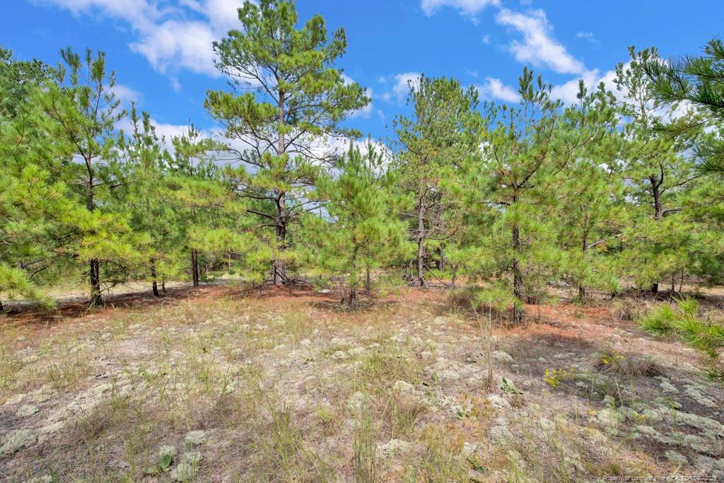 2b Mckoy Town Road Property Photo 5