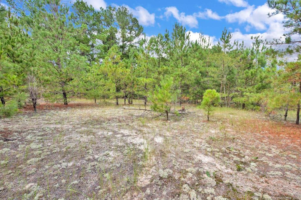 2b Mckoy Town Road Property Photo 6
