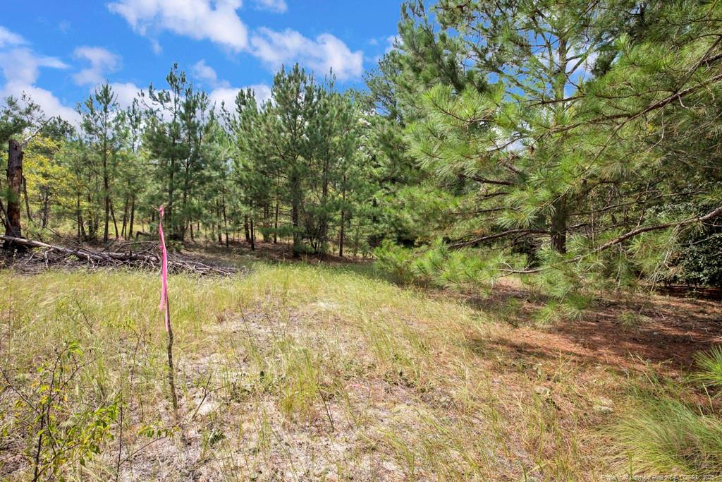 2b Mckoy Town Road Property Photo 7
