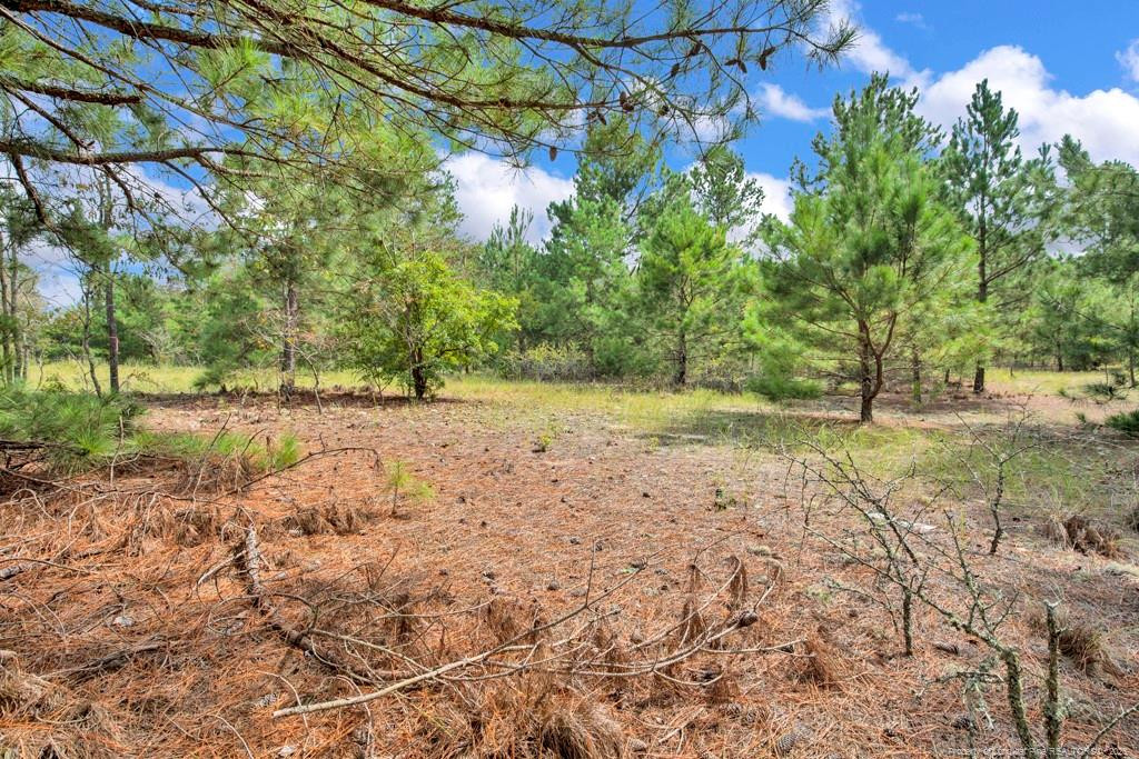 2b Mckoy Town Road Property Photo 8
