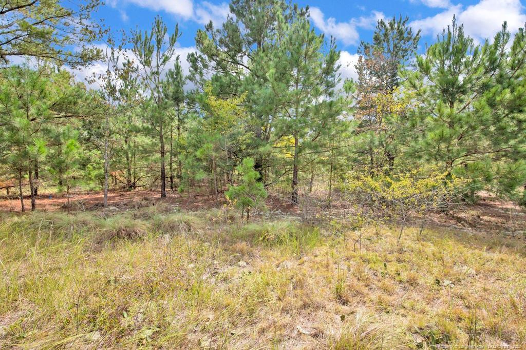 2b Mckoy Town Road Property Photo 9
