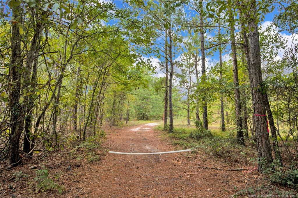 2b Mckoy Town Road Property Photo 10