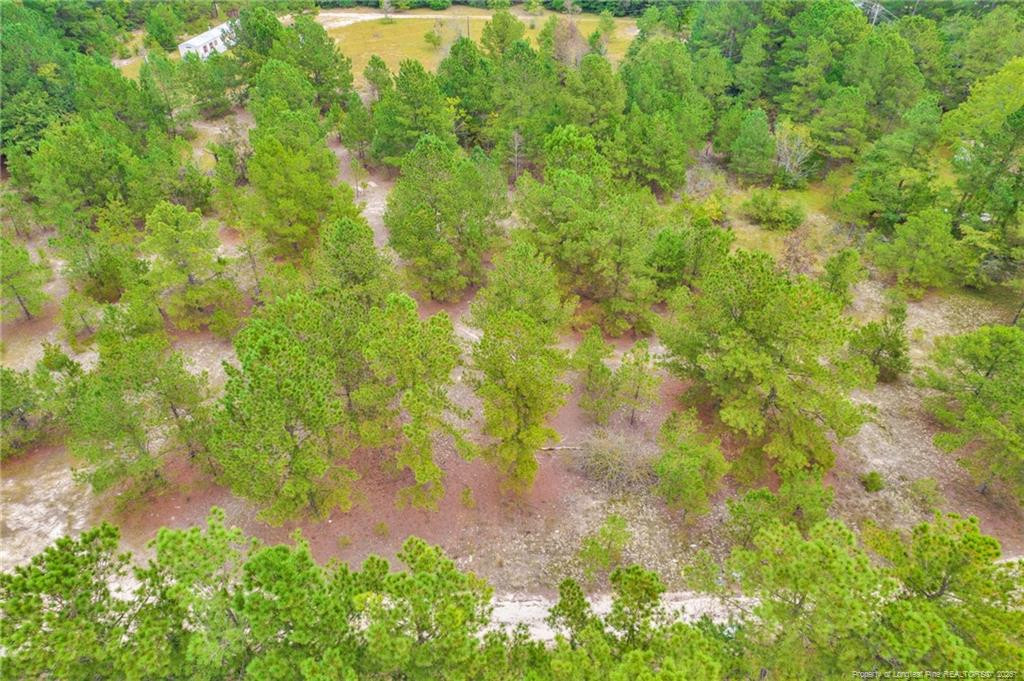 2b Mckoy Town Road Property Photo 11