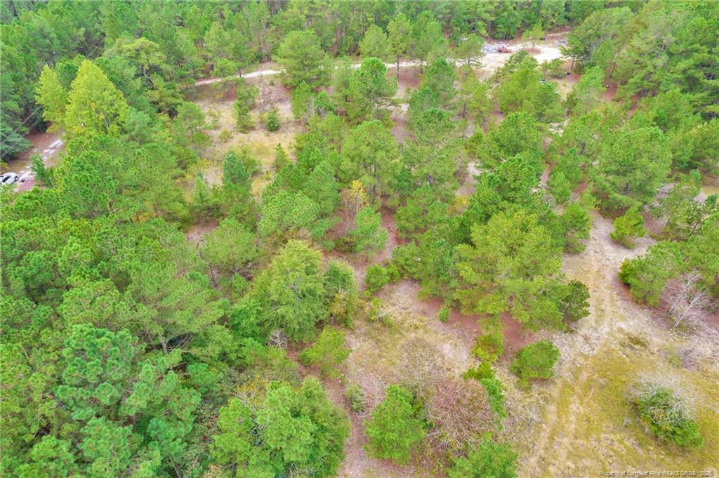 2b Mckoy Town Road Property Photo 13