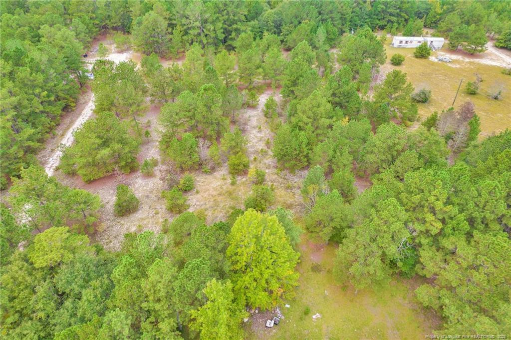 2b Mckoy Town Road Property Photo 14