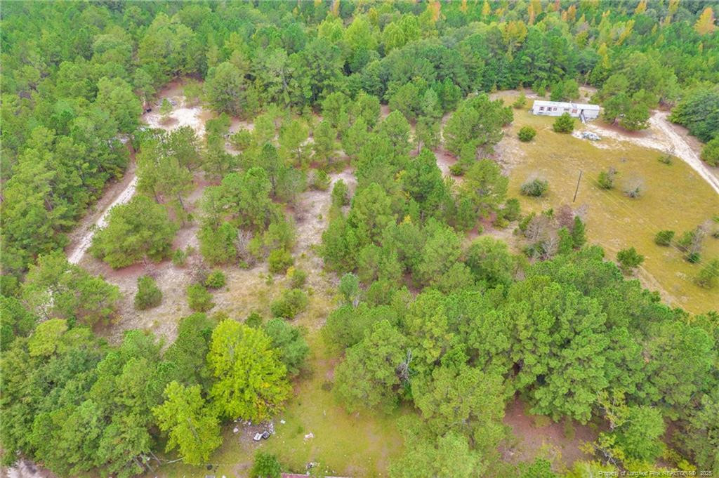 2b Mckoy Town Road Property Photo 23