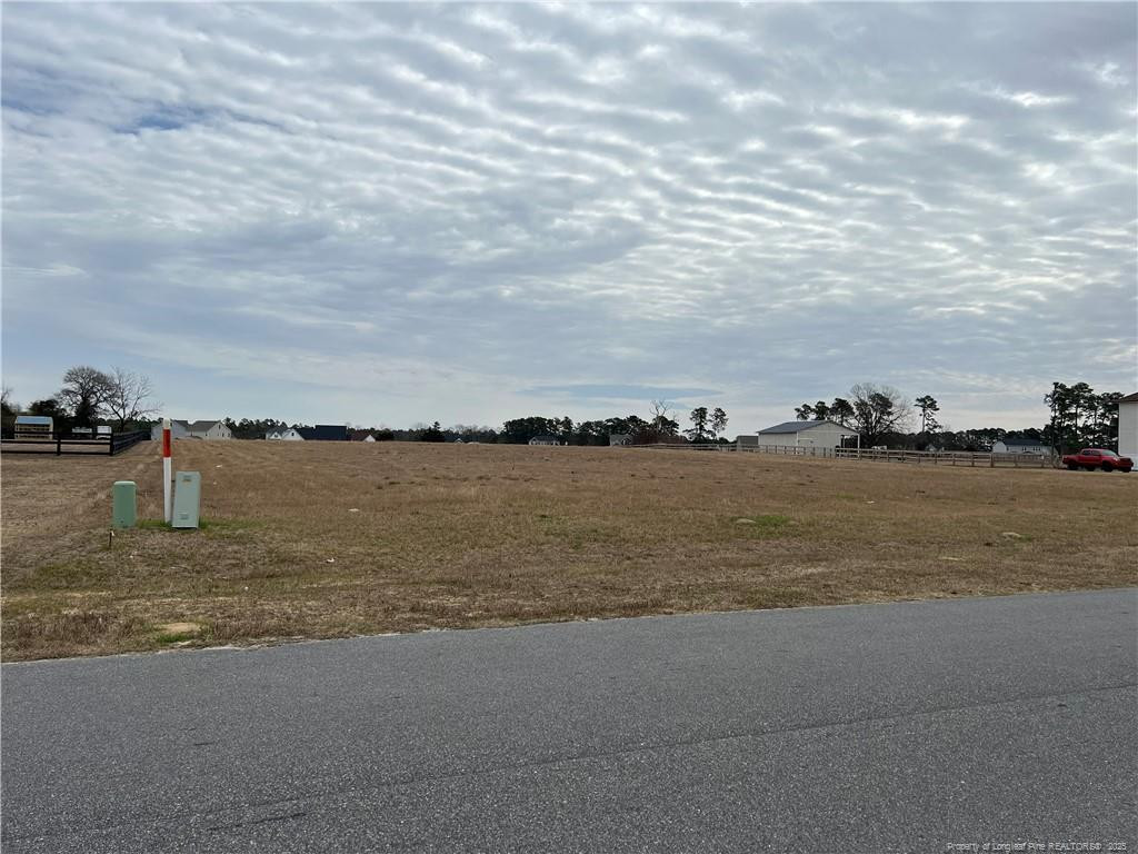 284 Rocking Horse Lane Property Photo 1