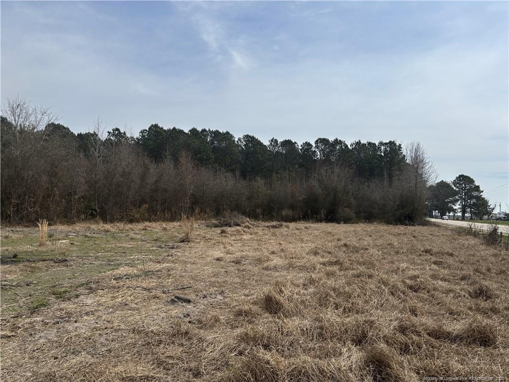 Harnett Dunn Highway Property Photo 4