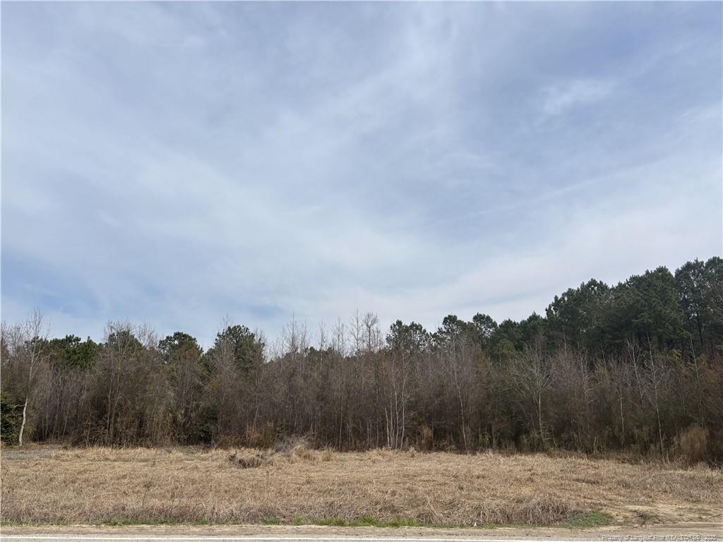 Harnett Dunn Highway Property Photo 6