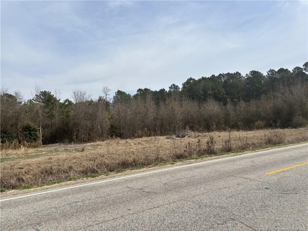 Harnett Dunn Highway Property Photo 16