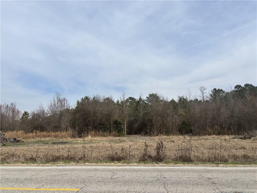 Harnett Dunn Highway Property Photo 18