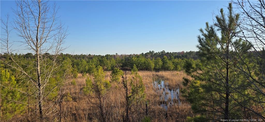 03 Josey Williams Road Property Photo