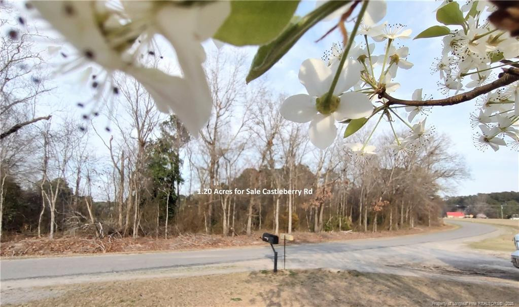 Lot 7 Castleberry Road Property Photo