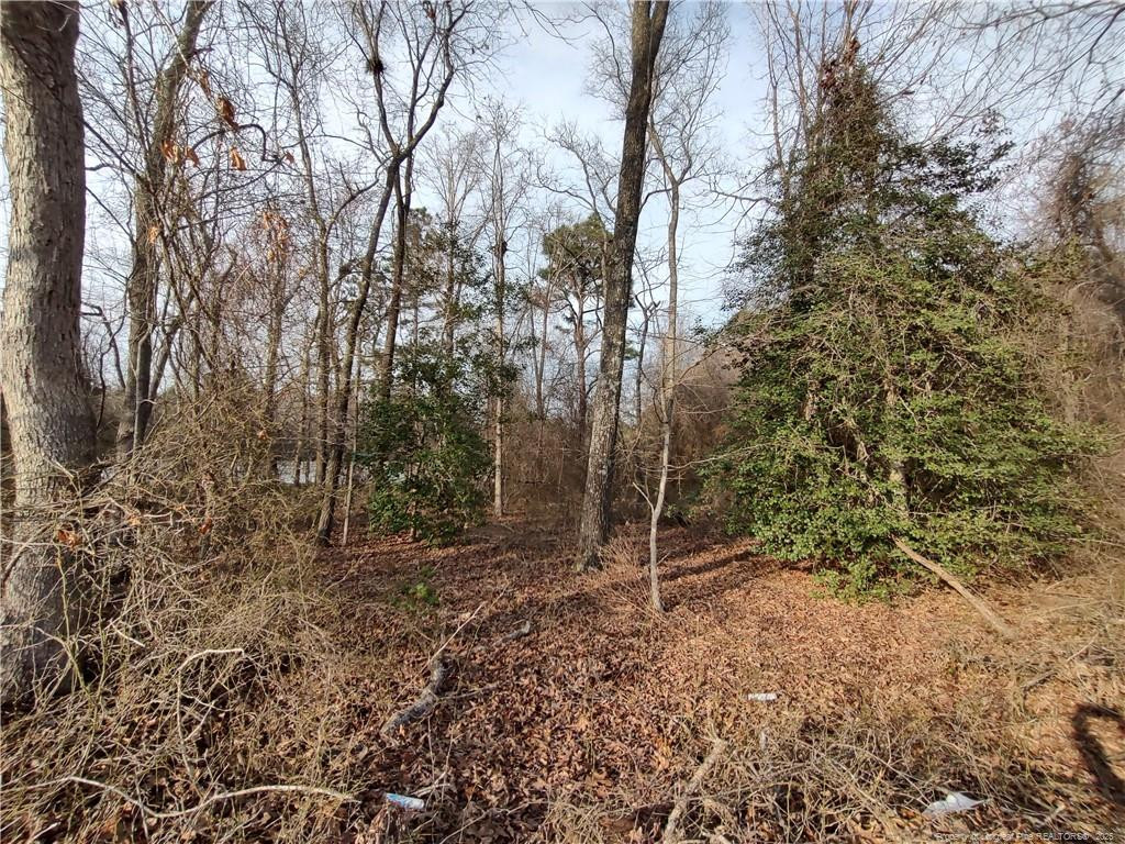Lot 7 Castleberry Road Property Photo 4