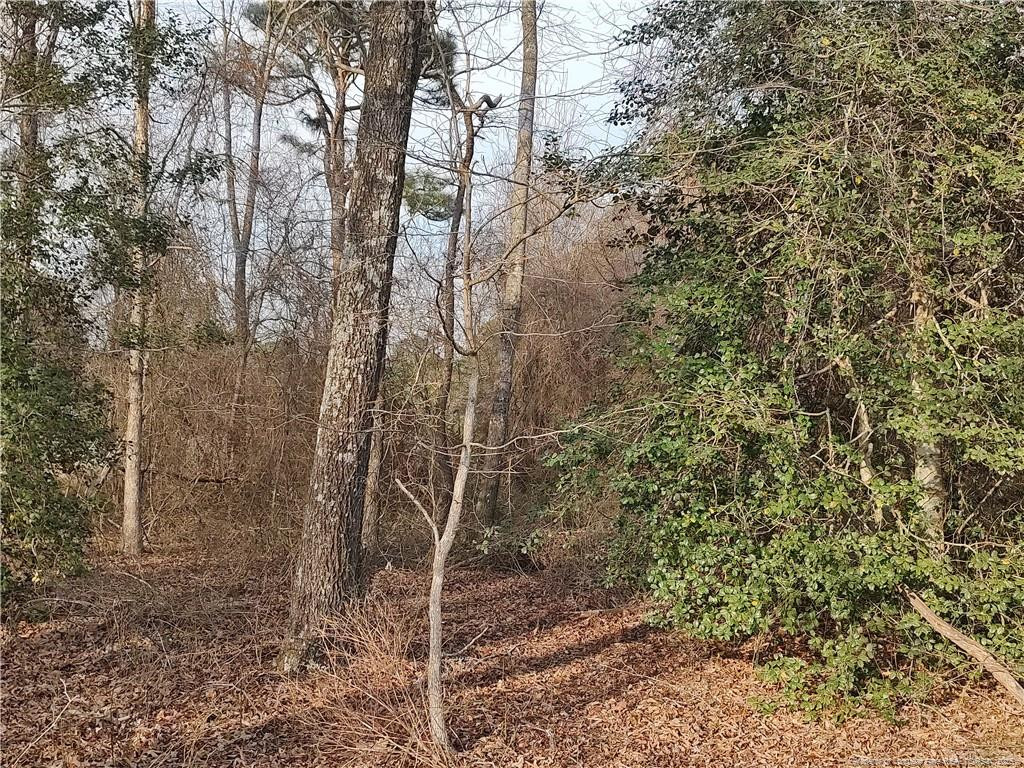 Lot 7 Castleberry Road Property Photo 5