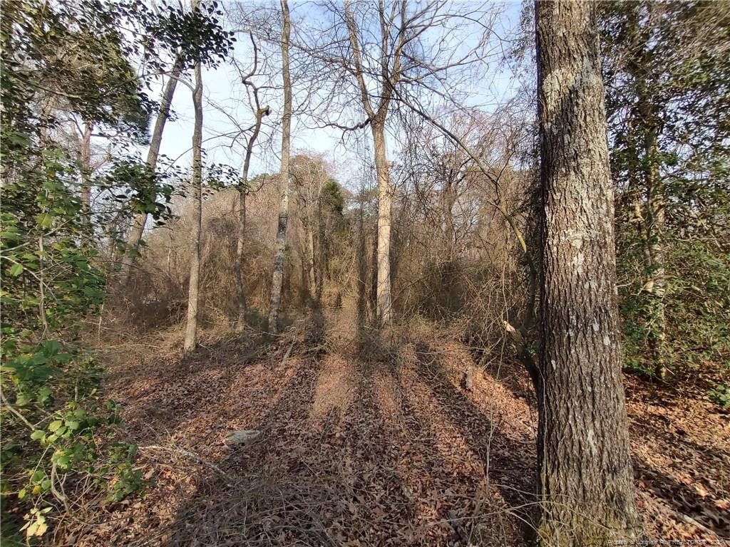 Lot 7 Castleberry Road Property Photo 6