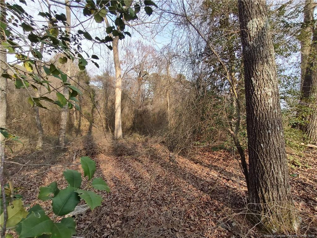 Lot 7 Castleberry Road Property Photo 7