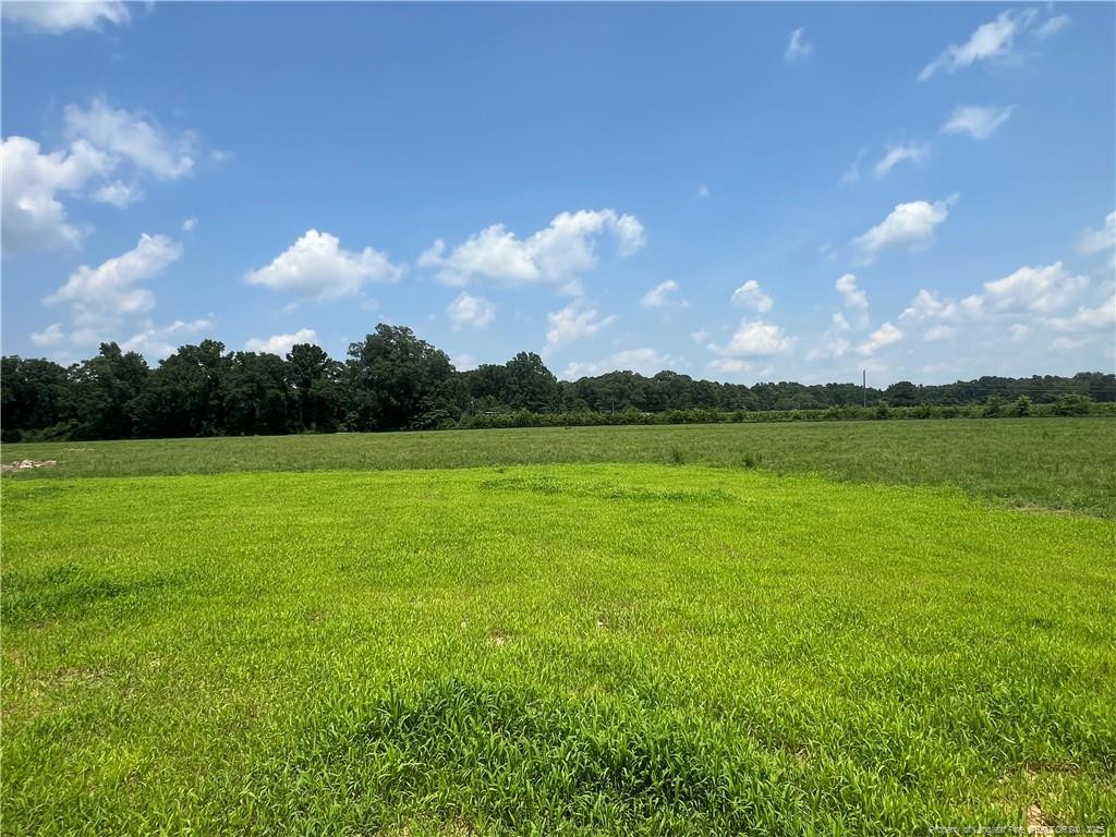 92 Dalton Drive Property Photo 18