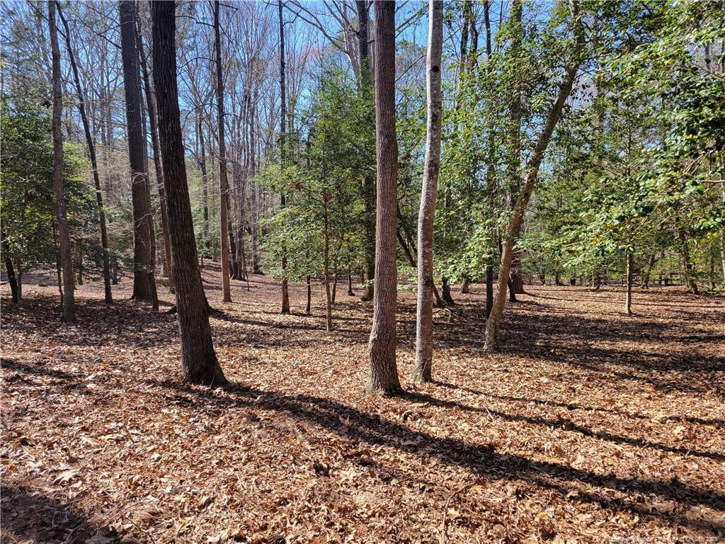 1133 Deerfoot Trail Property Photo