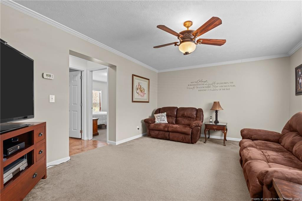 4194 Abattoir Road Property Photo 21