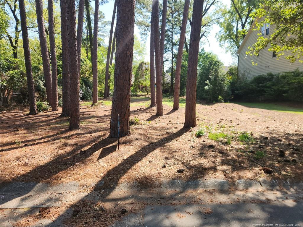215 Devane Street Property Photo 2